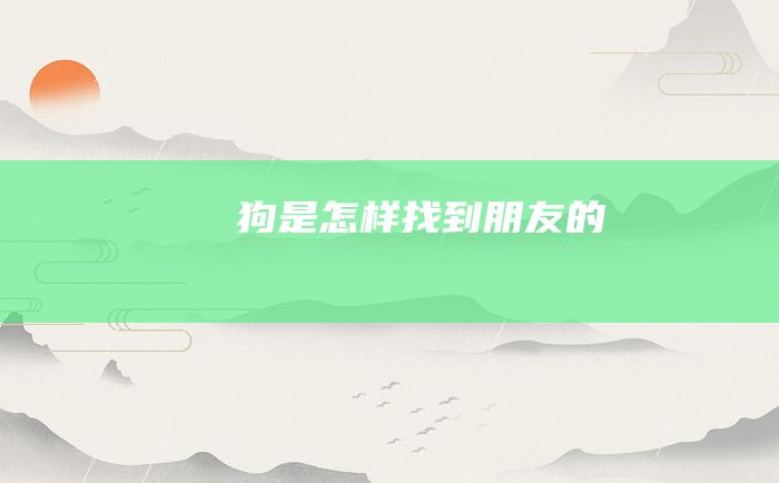 狗是怎样找到朋友的