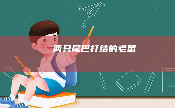 两只尾巴打结的老鼠