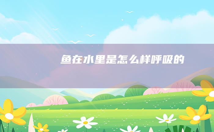 鱼在水里是怎么样呼吸的