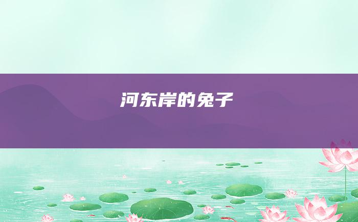 河东岸的兔子