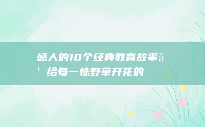 感人的10个经典教育故事之给每一株野草开花的时间