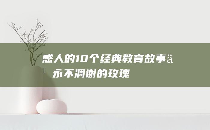 感人的10个经典教育故事之永不凋谢的玫瑰