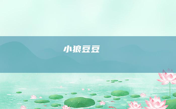 小狼豆豆