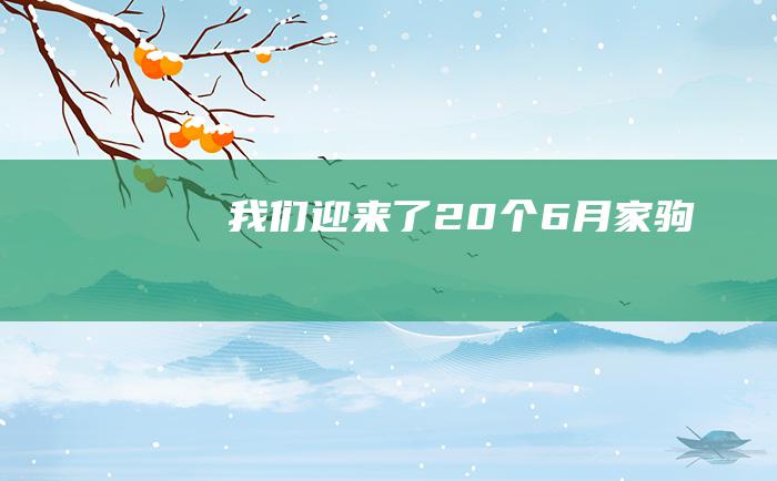 我们迎来了20个6月家驹