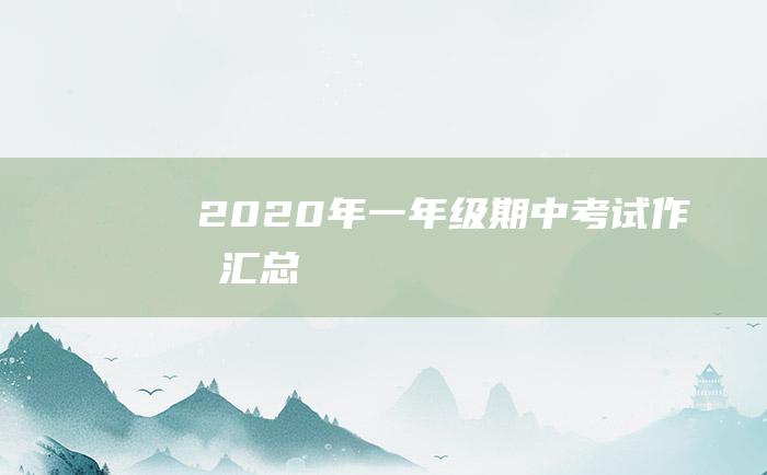 2020年一年级期中考试作文汇总