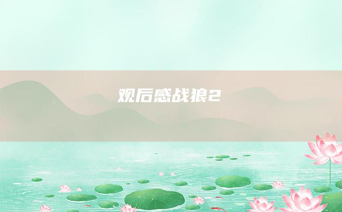 观后感战狼2