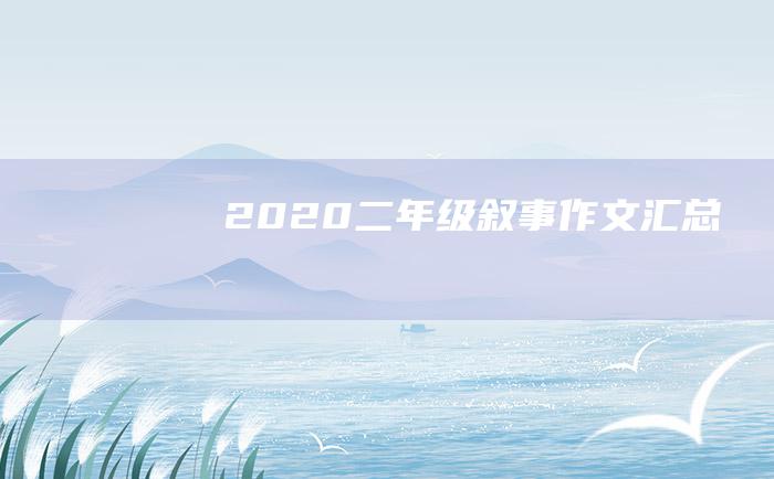 2020二年级叙事作文汇总