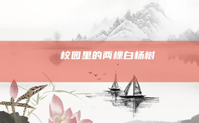 校园里的两棵白杨树