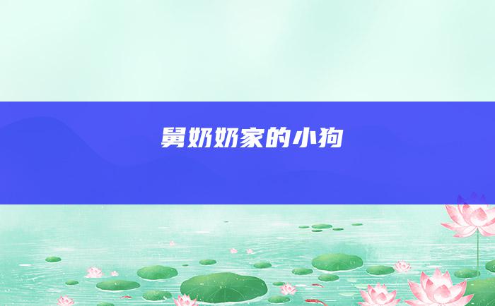 舅奶奶家的小狗