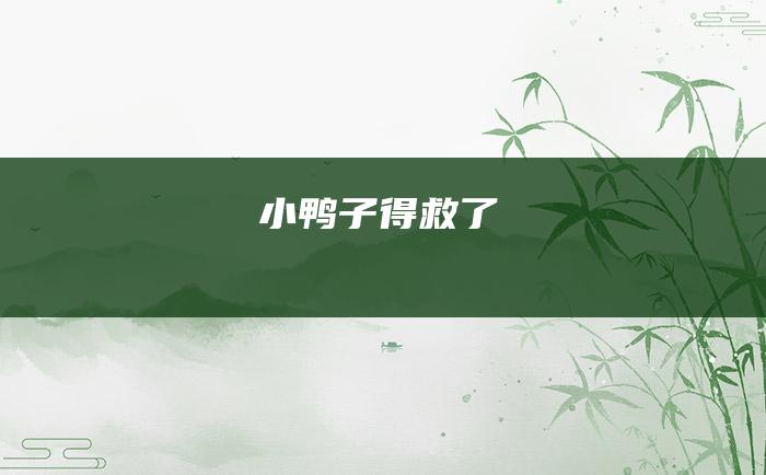 小鸭子得救了