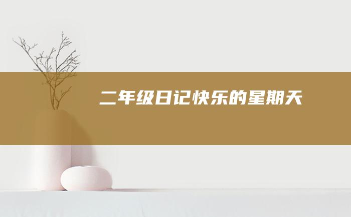 二年级日记快乐的星期天