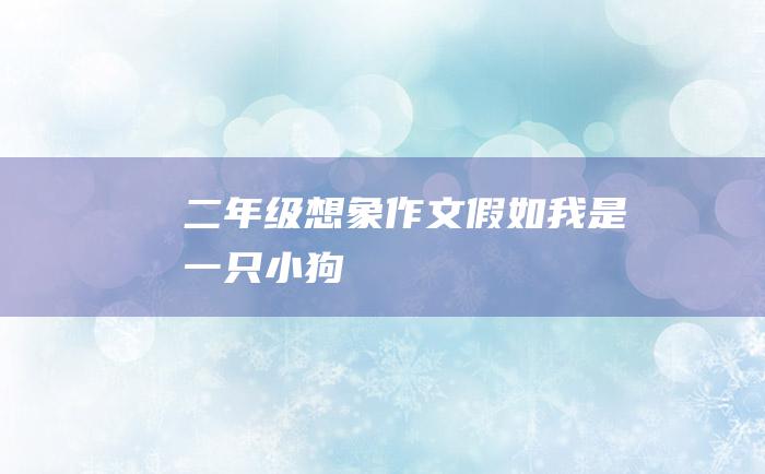 二年级想象作文 假如我是一只小狗