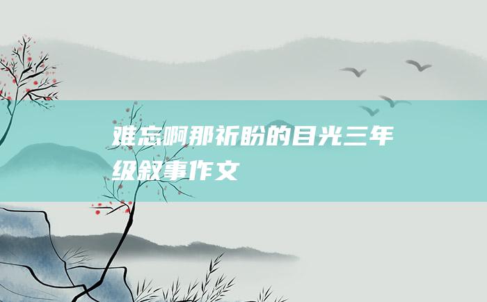 难忘啊那祈盼的目光 三年级叙事作文