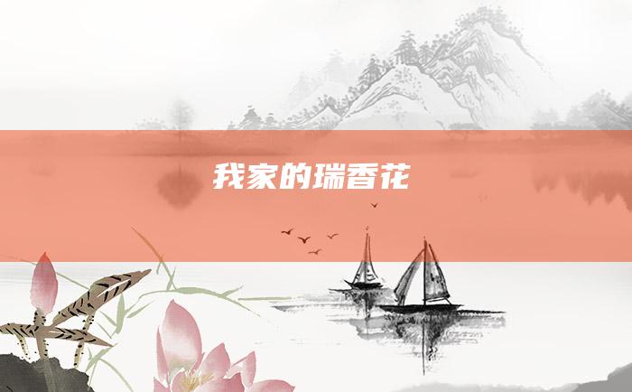 我家的瑞香花