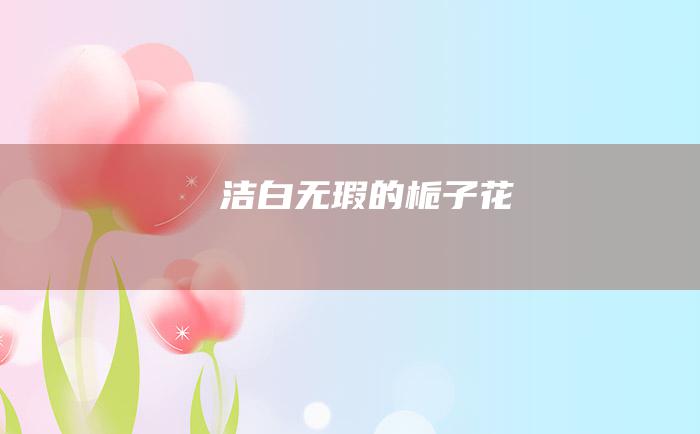 洁白无瑕的栀子花