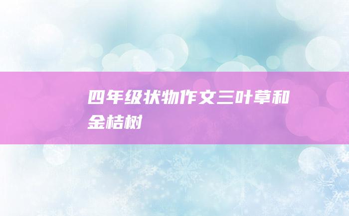 四年级状物作文 三叶草和金桔树