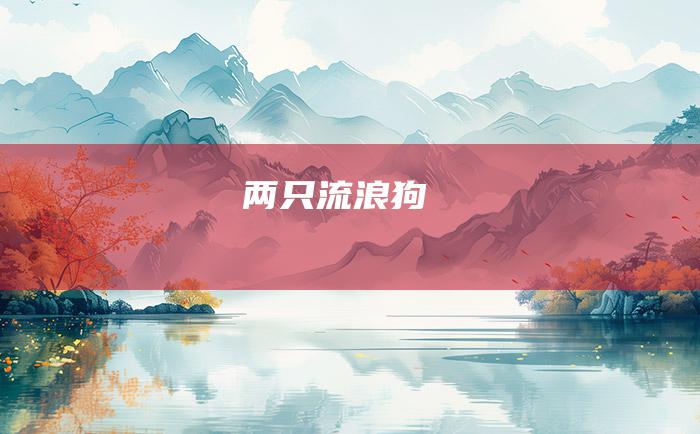 两只流浪狗