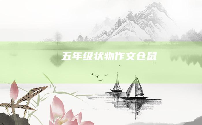 五年级状物作文仓鼠