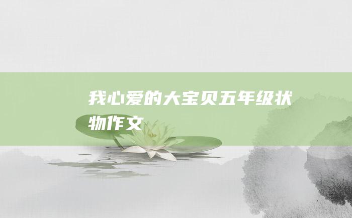 我心爱的大宝贝五年级状物作文