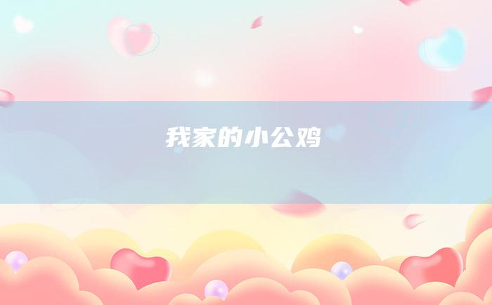 我家的小公鸡