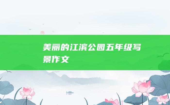 美丽的江滨公园五年级写景作文