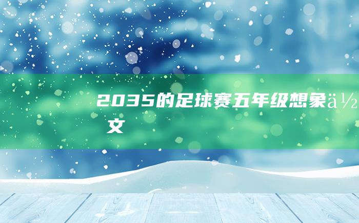 2035的足球赛五年级想象作文