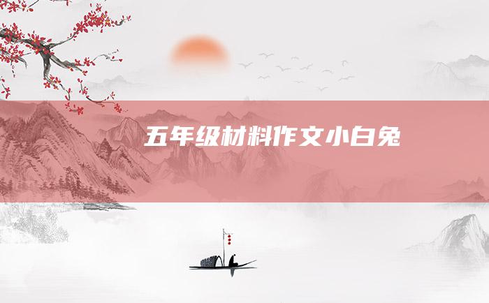 五年级材料作文 小白兔