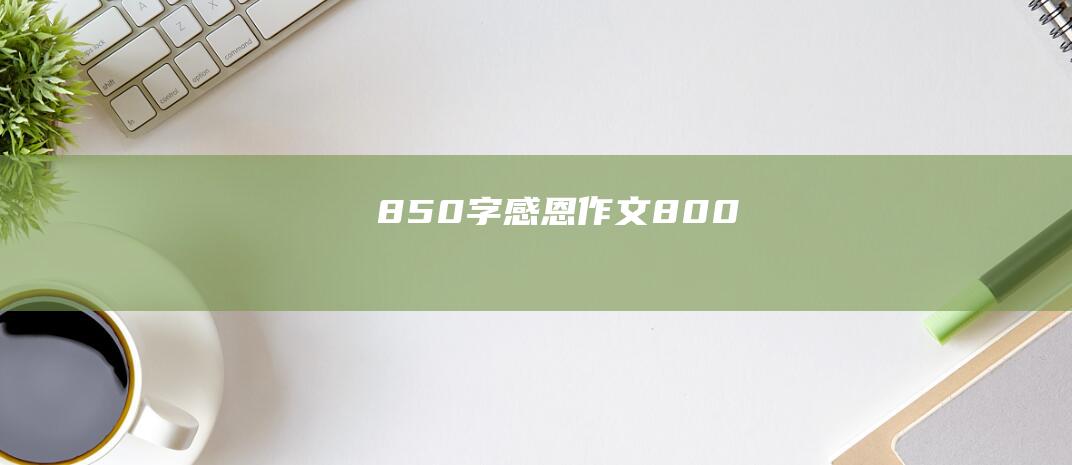 850字 感恩作文800