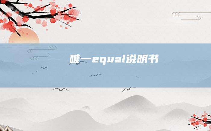 唯一equal说明书