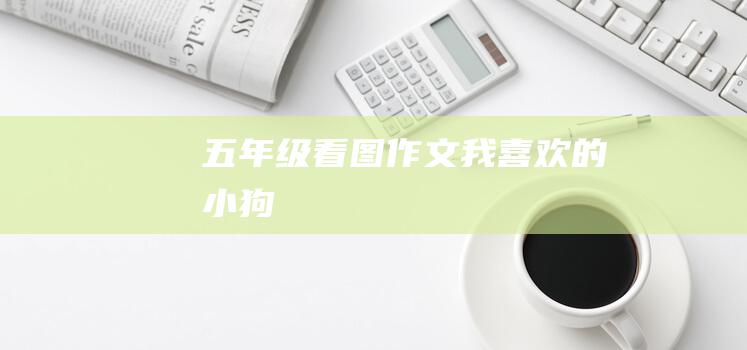 五年级看图作文我喜欢的小狗