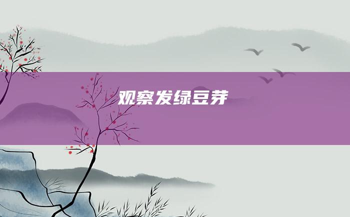 观察发绿豆芽