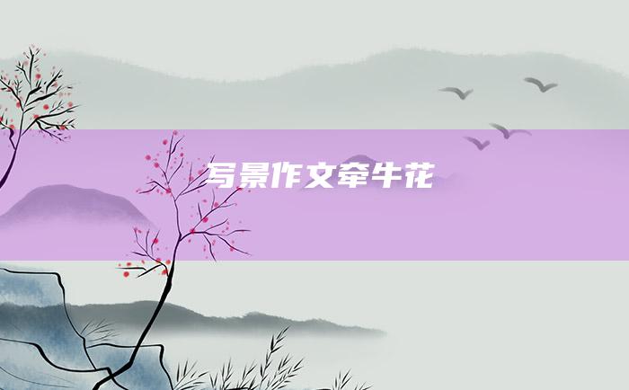 写景作文 牵牛花