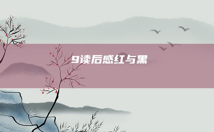 9 读后感 红与黑