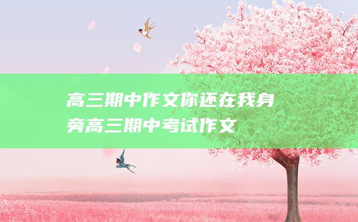 高三期中作文你还在我身旁高三期中考试作文