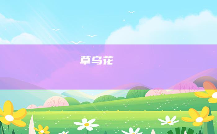 草乌花