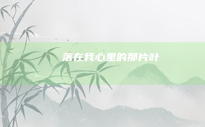 落在我心里的那片叶