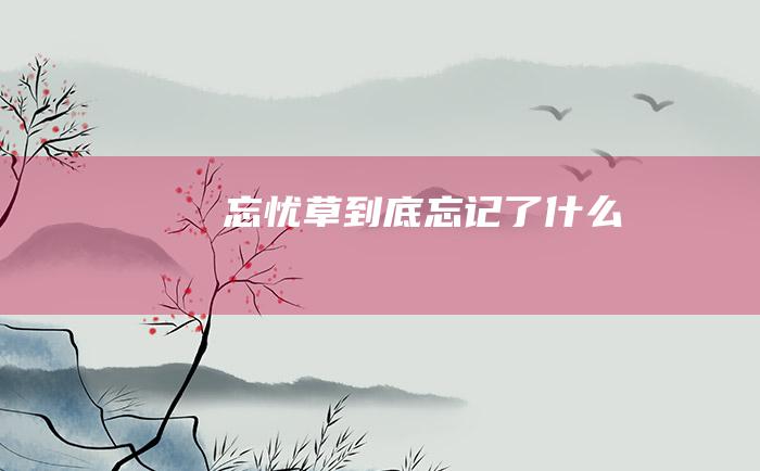 忘忧草到底忘记了什么