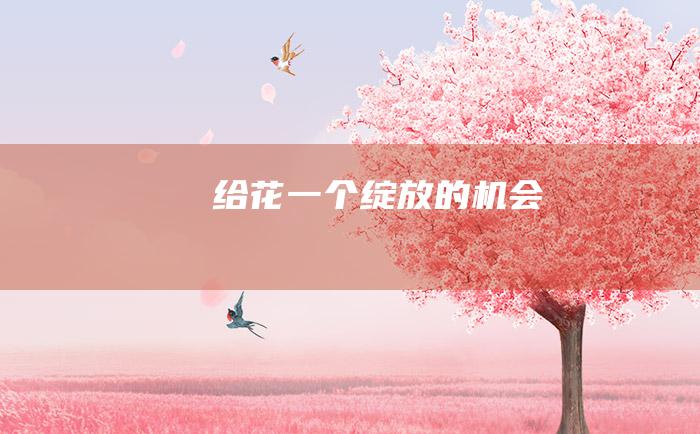 给花一个绽放的机会