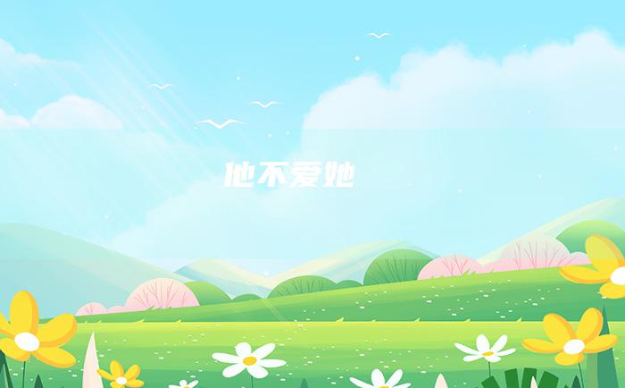 他不爱她