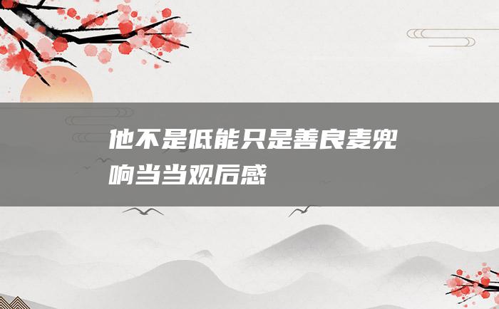 他不是低能只是善良麦兜响当当观后感