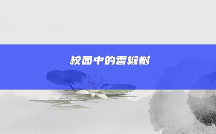 校园中的香橼树