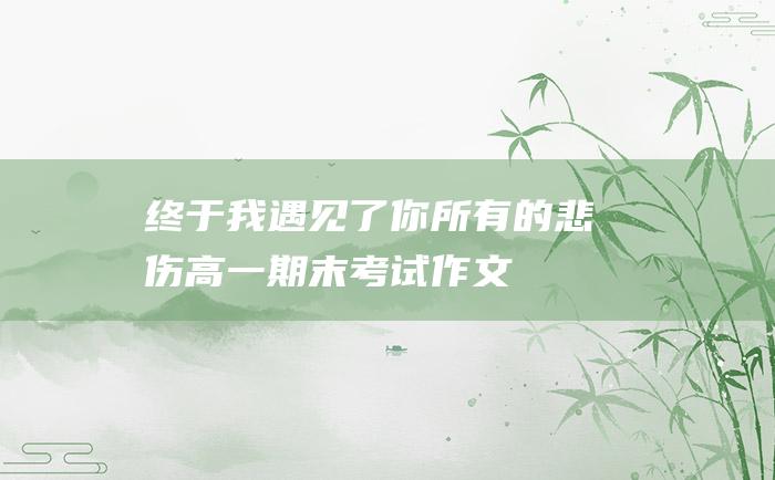 终于我遇见了你所有的悲伤 高一期末考试作文