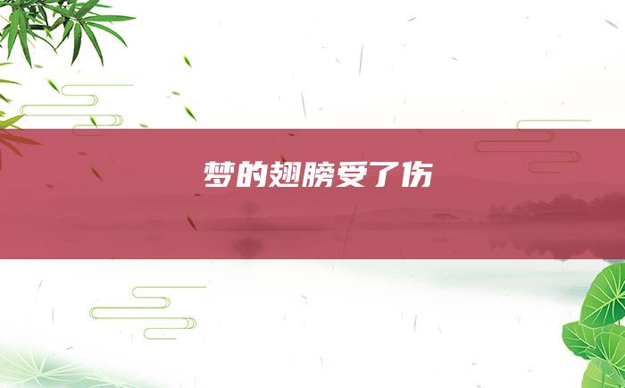 梦的翅膀受了伤