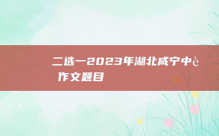 二选一 2023年湖北咸宁中考作文题目