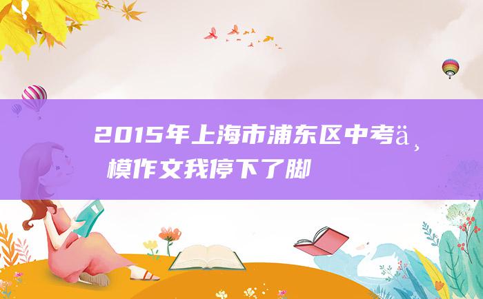 2015年上海市浦东区中考一模作文 我停下了脚步 那一刻