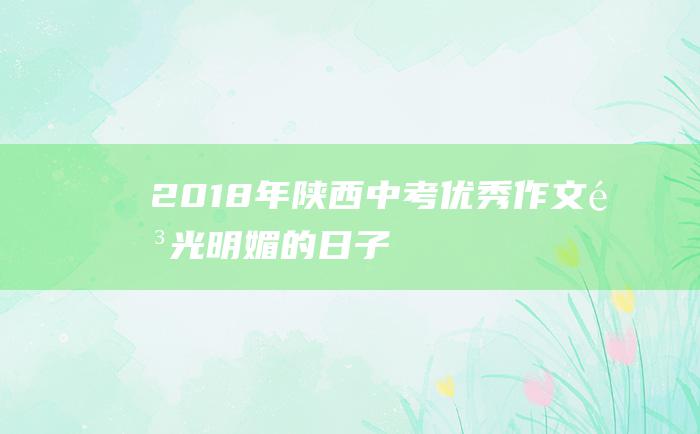 2018年陕西中考优秀作文 阳光明媚的日子