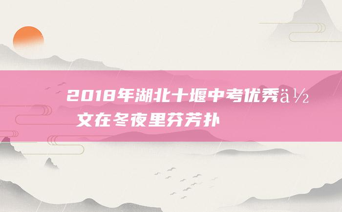 2018年湖北十堰中考优秀作文 在冬夜里芬芳扑鼻的年糕