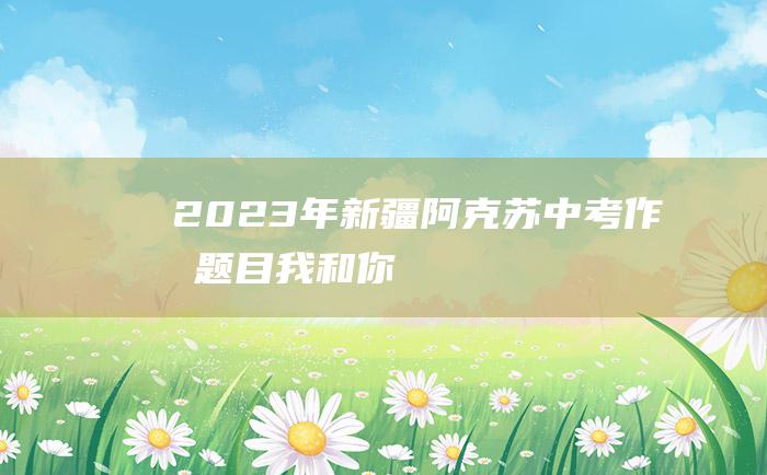 2023年新疆阿克苏中考作文题目我和你