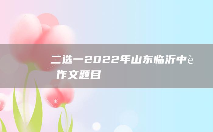 二选一2022年山东临沂中考作文题目