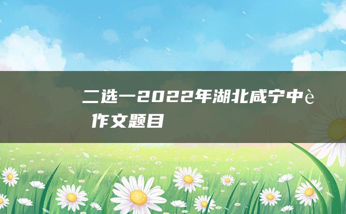 二选一2022年湖北咸宁中考作文题目